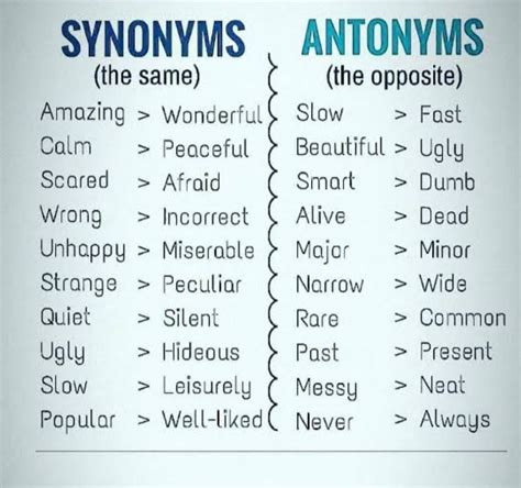 20 Synonyms & Antonyms for ARCHAIC .